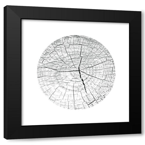 Love Stump 3 Black Modern Wood Framed Art Print with Double Matting by Phillip, Jamie