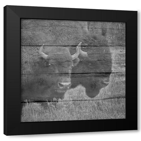 Bison Black Modern Wood Framed Art Print by Phillip, Jamie
