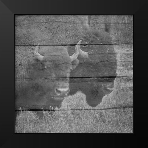 Bison Black Modern Wood Framed Art Print by Phillip, Jamie