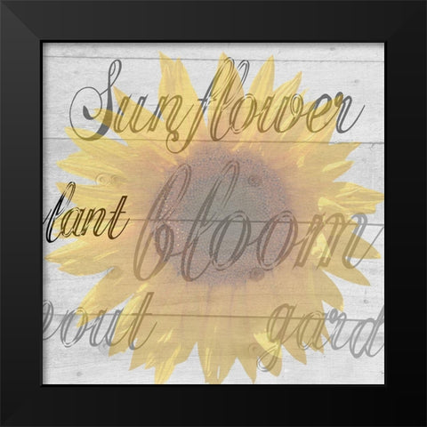 Sunflower 1 Black Modern Wood Framed Art Print by Phillip, Jamie