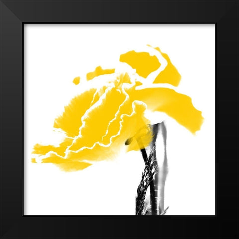 Plant Bloom Black Modern Wood Framed Art Print by Phillip, Jamie