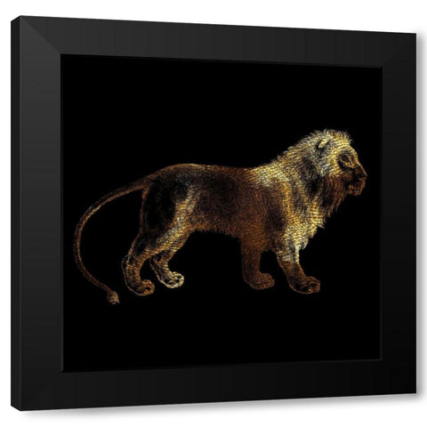 Lion Black Modern Wood Framed Art Print by Phillip, Jamie