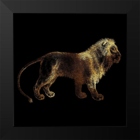 Lion Black Modern Wood Framed Art Print by Phillip, Jamie