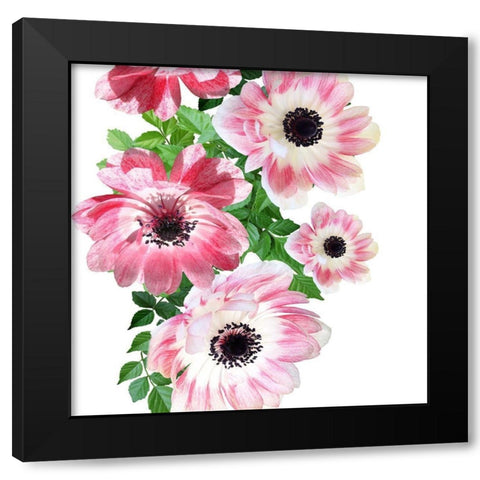 Rose Garden 2 Black Modern Wood Framed Art Print by Phillip, Jamie