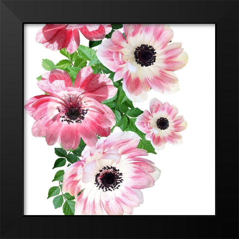 Rose Garden 2 Black Modern Wood Framed Art Print by Phillip, Jamie