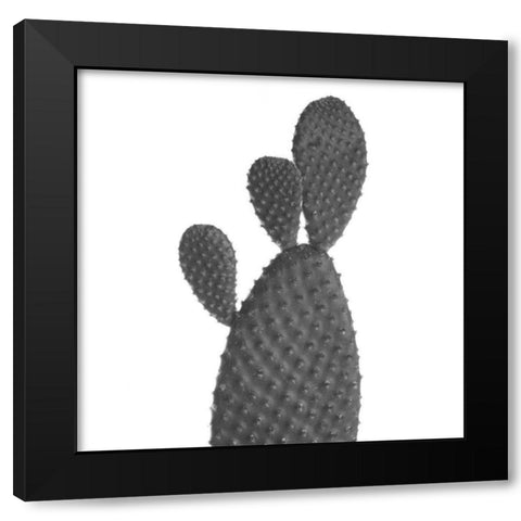 Black Cactus Black Modern Wood Framed Art Print with Double Matting by Phillip, Jamie