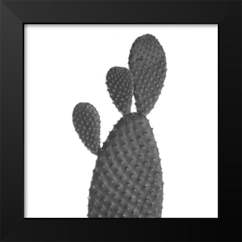 Black Cactus Black Modern Wood Framed Art Print by Phillip, Jamie