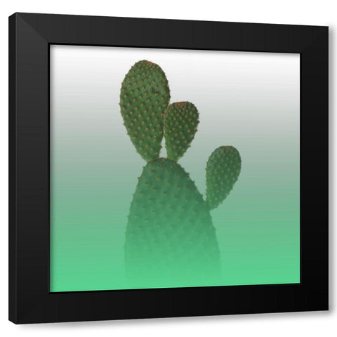 Green Cactus Black Modern Wood Framed Art Print with Double Matting by Phillip, Jamie