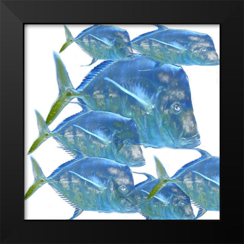 Fishes Black Modern Wood Framed Art Print by Phillip, Jamie