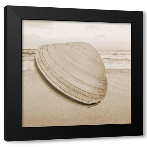 Clam 2 Black Modern Wood Framed Art Print with Double Matting by Phillip, Jamie