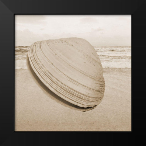Clam 2 Black Modern Wood Framed Art Print by Phillip, Jamie