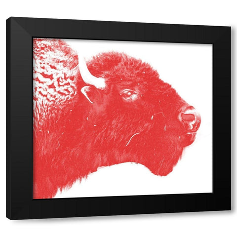 Colored Bison Black Modern Wood Framed Art Print with Double Matting by Phillip, Jamie