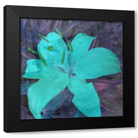 Love in The Garden 2 Black Modern Wood Framed Art Print with Double Matting by Phillip, Jamie