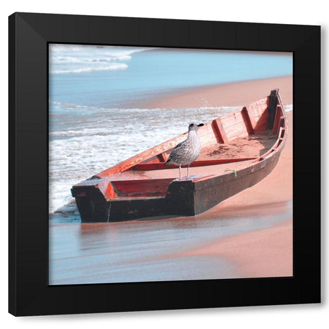 Bay Bird 2 Black Modern Wood Framed Art Print with Double Matting by Phillip, Jamie