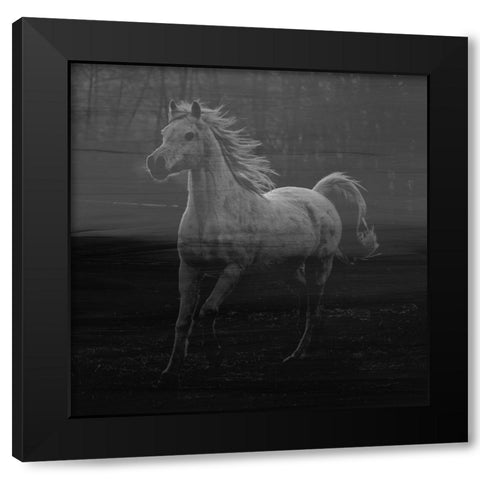 Misty Horse Black Modern Wood Framed Art Print by