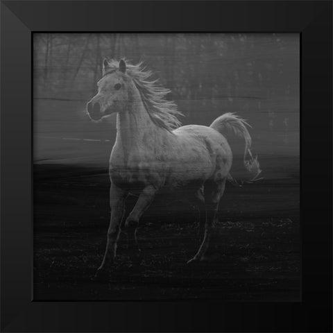 Misty Horse Black Modern Wood Framed Art Print by