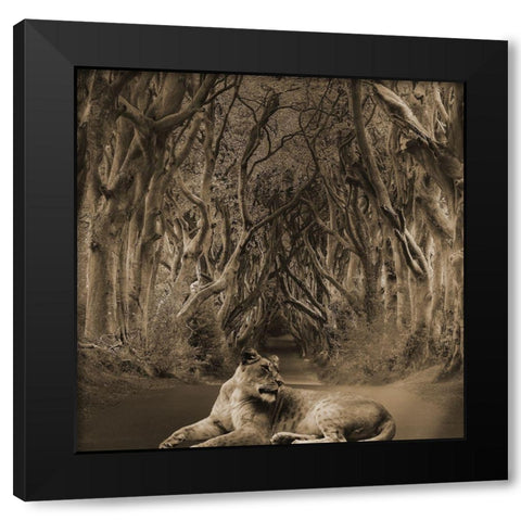 Friend In The Road Black Modern Wood Framed Art Print with Double Matting by Phillip, Jamie
