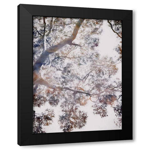 Whispering Jack II Black Modern Wood Framed Art Print with Double Matting by Urban Road