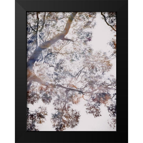 Whispering Jack II Black Modern Wood Framed Art Print by Urban Road
