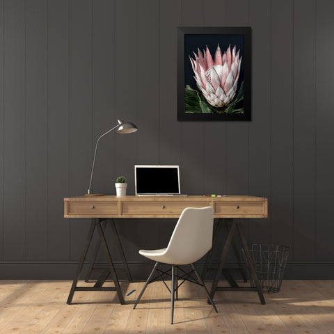 King of Flowers Black Modern Wood Framed Art Print by Urban Road