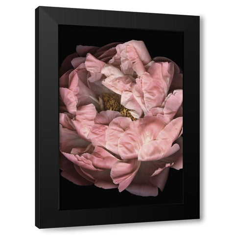 Hopeful I Black Modern Wood Framed Art Print by Urban Road