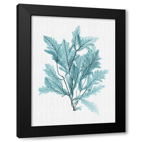 Aruba Turquoise Poster Black Modern Wood Framed Art Print with Double Matting by Urban Road