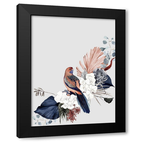 Blushing Rosella Poster Black Modern Wood Framed Art Print by Urban Road