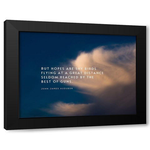 John James Audubon Quote: Shy Birds Flying Black Modern Wood Framed Art Print with Double Matting by ArtsyQuotes