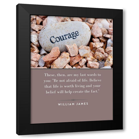 William James Quote: Not Afraid of Life Black Modern Wood Framed Art Print by ArtsyQuotes