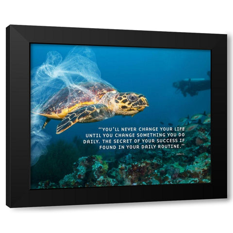 John C. Quote: Secret of Your Success Black Modern Wood Framed Art Print by ArtsyQuotes