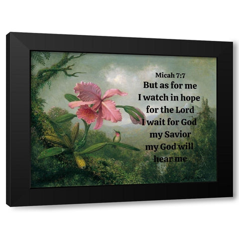Bible Verse Quote Micah 7:7, Martin Johnson Heade - Orchid and Hummingbird Black Modern Wood Framed Art Print with Double Matting by ArtsyQuotes