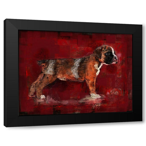 Boxer Pup Black Modern Wood Framed Art Print by Wiley, Marta
