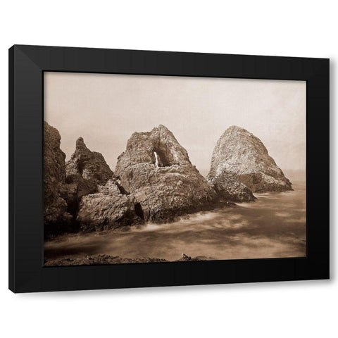 Sugarloaf Islands at Fishermans Bay, Farallon Islands, San Francisco, California, 1869 Black Modern Wood Framed Art Print by Watkins, Carleton
