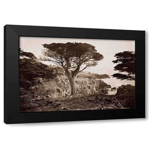 Cypress Point, Monterey, California, about 1880s Black Modern Wood Framed Art Print with Double Matting by Watkins, Carleton