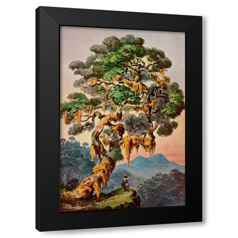 Der Vulkan Merapi auf Sumatra Hochland von Padang Black Modern Wood Framed Art Print by Haeckel, Ernst