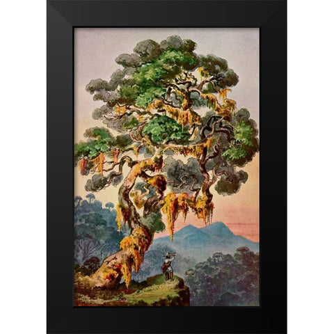 Der Vulkan Merapi auf Sumatra Hochland von Padang Black Modern Wood Framed Art Print by Haeckel, Ernst
