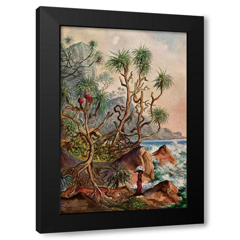 Pandanus bei Matura Schraubenpalmen an der Sudkuste von Ceylon Black Modern Wood Framed Art Print with Double Matting by Haeckel, Ernst