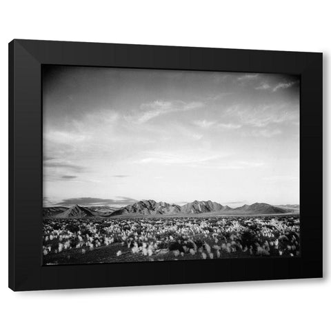 Distant mountains: desert and shrubs in foreground near Death Valley National Monument, California - Black Modern Wood Framed Art Print with Double Matting by Adams, Ansel