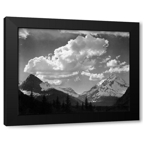 Trees in Glacier National Park, Montana - National Parks and Monuments, 1941 Black Modern Wood Framed Art Print with Double Matting by Adams, Ansel
