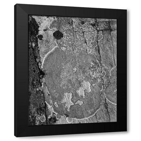 Lichons, Glacier National Park, Montana - National Parks and Monuments, 1941 Black Modern Wood Framed Art Print by Adams, Ansel