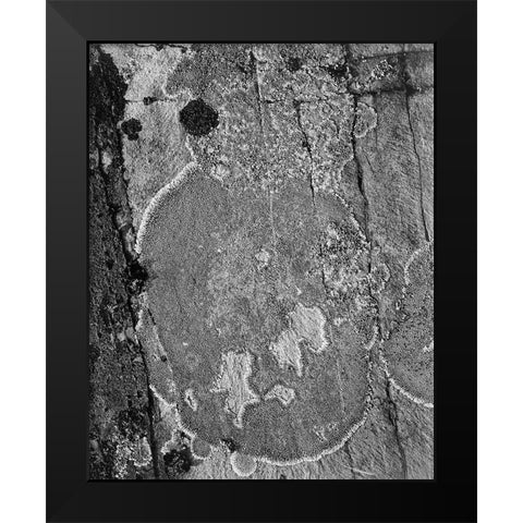 Lichons, Glacier National Park, Montana - National Parks and Monuments, 1941 Black Modern Wood Framed Art Print by Adams, Ansel