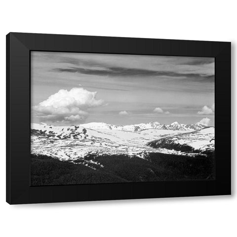 View at timberline, dark foreground, light snow capped mountain, gray sky, in Rocky Mountain Nationa Black Modern Wood Framed Art Print with Double Matting by Adams, Ansel