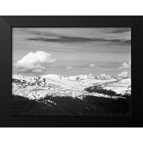 View at timberline, dark foreground, light snow capped mountain, gray sky, in Rocky Mountain Nationa Black Modern Wood Framed Art Print by Adams, Ansel