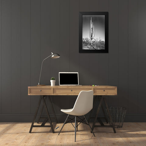Full view of cactus and surrounding shrubs, In Saguaro National Monument, Arizona, ca. 1941-1942 Black Modern Wood Framed Art Print by Adams, Ansel