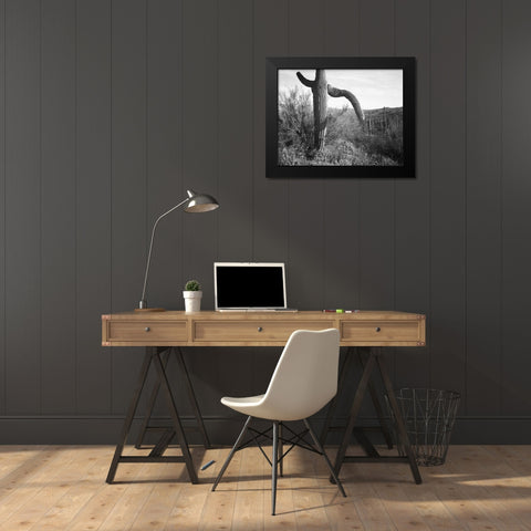 Cactus at left and surroundings, Saguaro National Monument, Arizona, ca. 1941-1942 Black Modern Wood Framed Art Print by Adams, Ansel