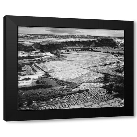 Corn Field, Indian Farm near Tuba City, Arizona, in Rain, 1941 Black Modern Wood Framed Art Print with Double Matting by Adams, Ansel