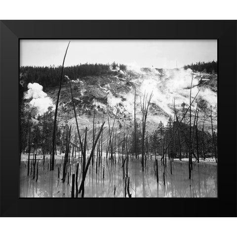 Barren trunks in water near steam rising from mountains, Roaring Mountain, Yellowstone National Park Black Modern Wood Framed Art Print by Adams, Ansel