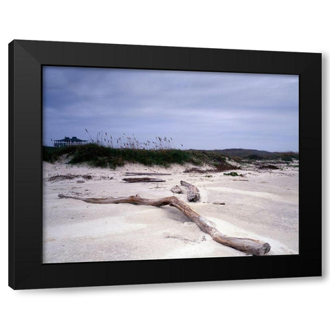 Driftwood on beach at Padre Island, TX Black Modern Wood Framed Art Print with Double Matting by Highmith, Carol