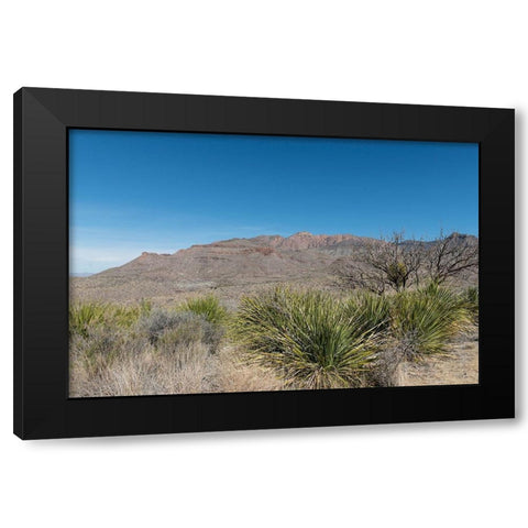 Scenery in Big Bend National Park, TX Black Modern Wood Framed Art Print with Double Matting by Highmith, Carol