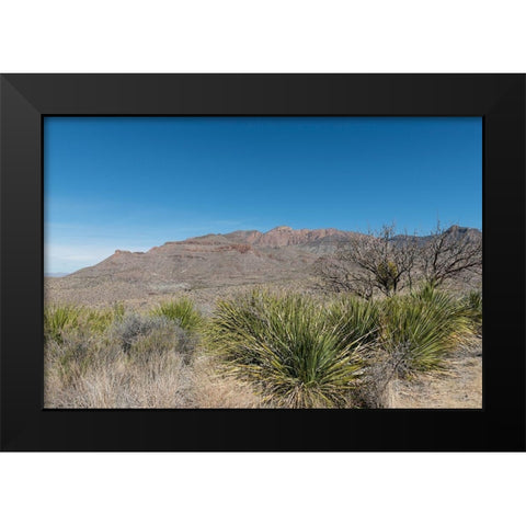 Scenery in Big Bend National Park, TX Black Modern Wood Framed Art Print by Highmith, Carol